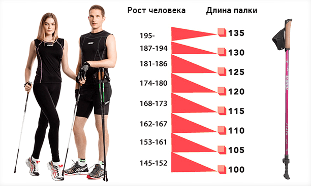 высота палок для скандинавской ходьбы